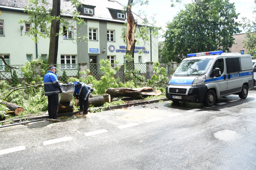Powalone drzewa uszkodziły auta