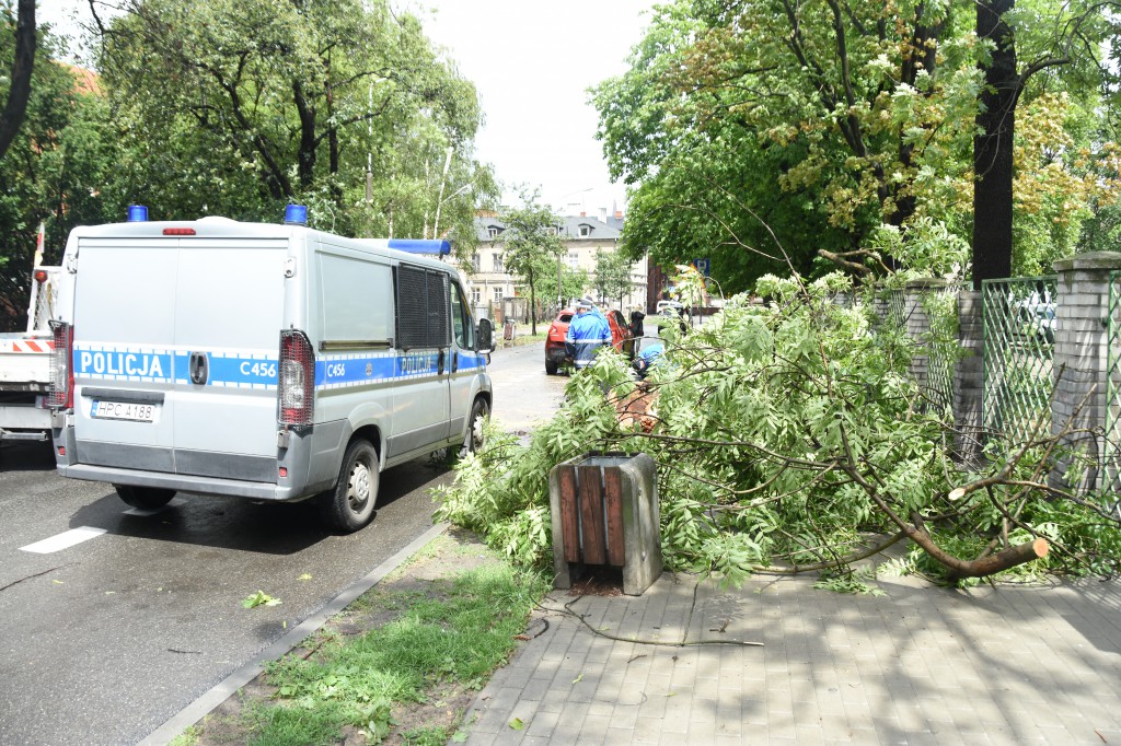 Powalone drzewa uszkodziły auta