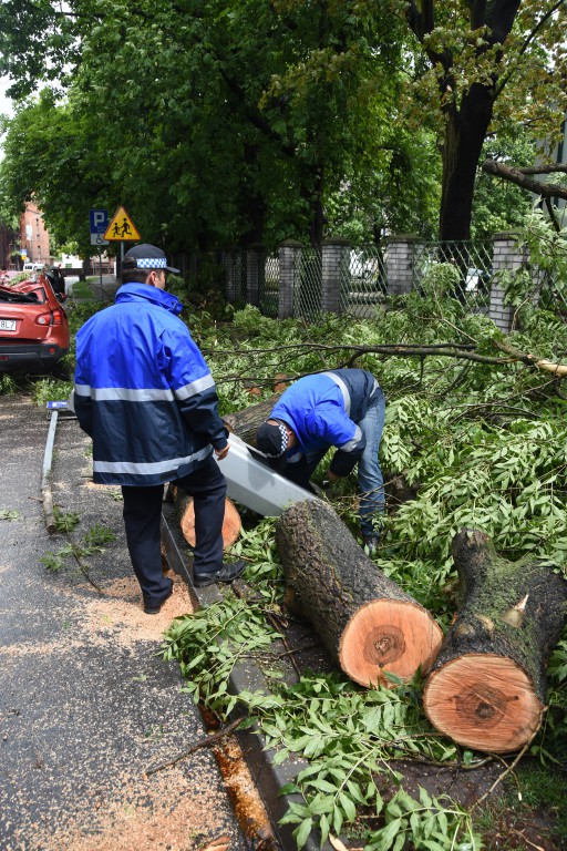 Powalone drzewa uszkodziły auta