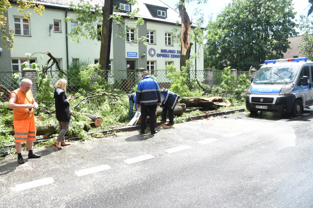 Powalone drzewa uszkodziły auta