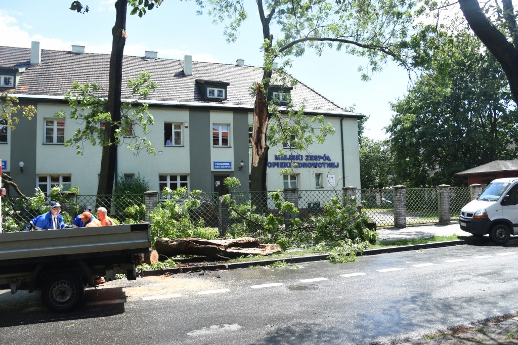 Powalone drzewa uszkodziły auta