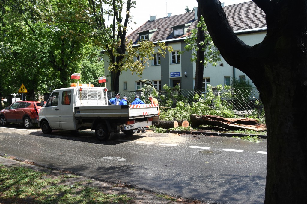 Powalone drzewa uszkodziły auta