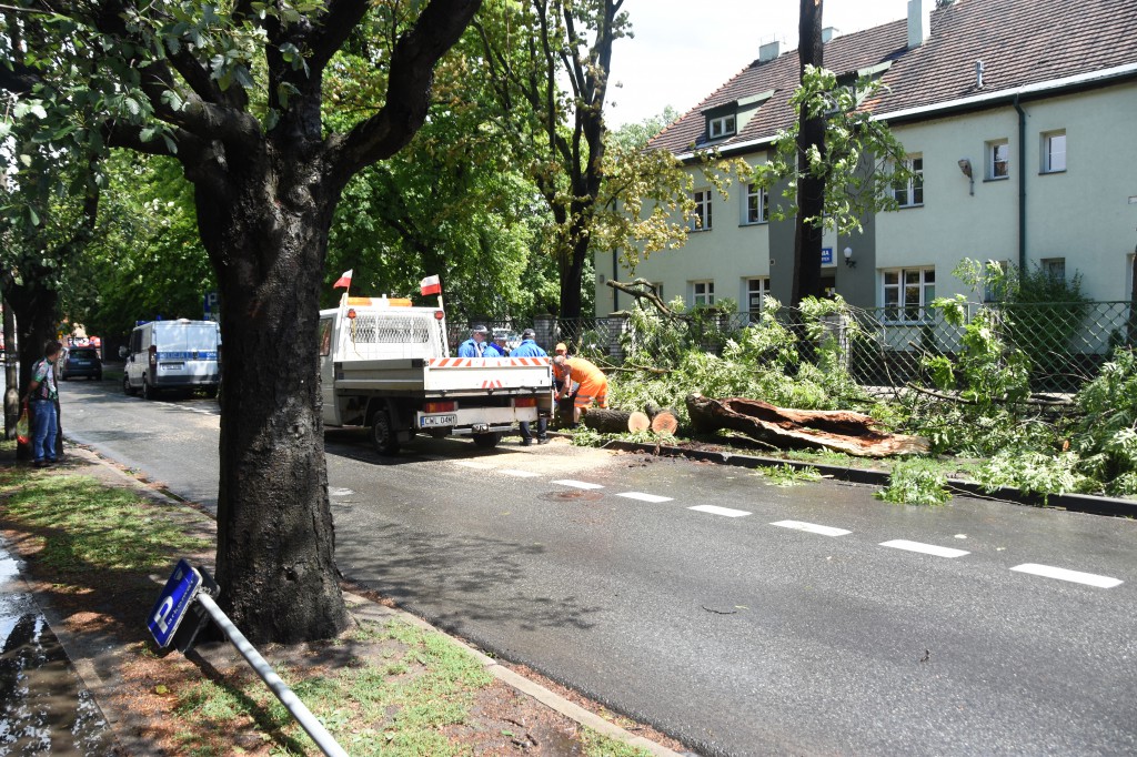 Powalone drzewa uszkodziły auta
