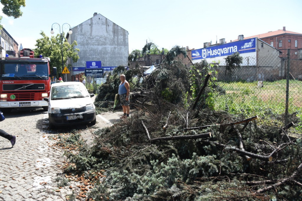 Powalone drzewa uszkodziły auta