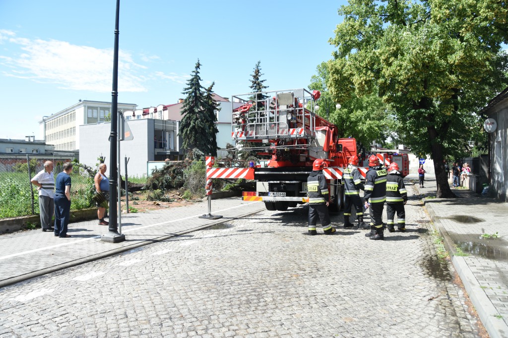 Powalone drzewa uszkodziły auta