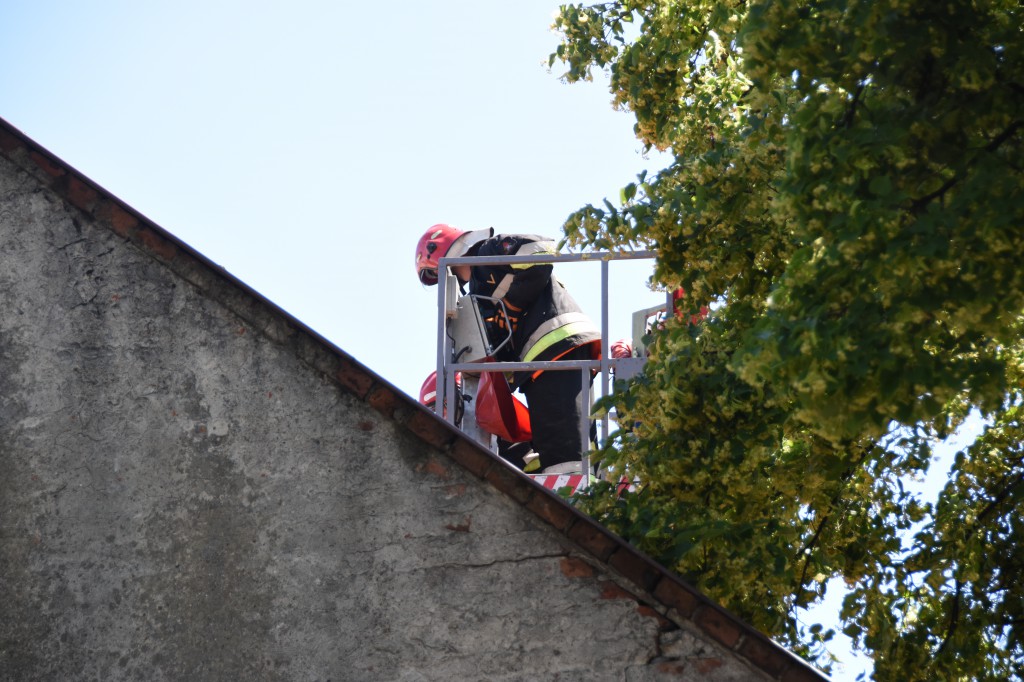 Powalone drzewa uszkodziły auta