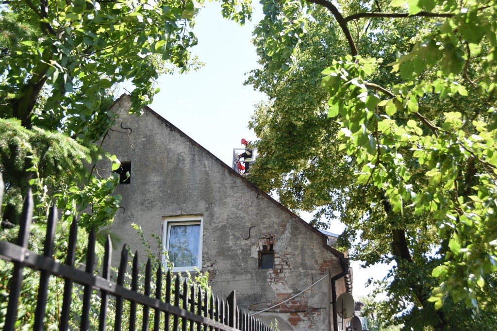 Powalone drzewa uszkodziły auta