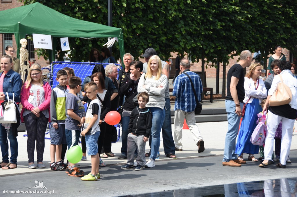 Festiwal zabawy i nauki na Placu Grodzkim