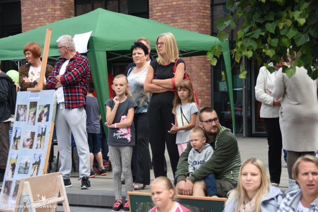 Festiwal zabawy i nauki na Placu Grodzkim