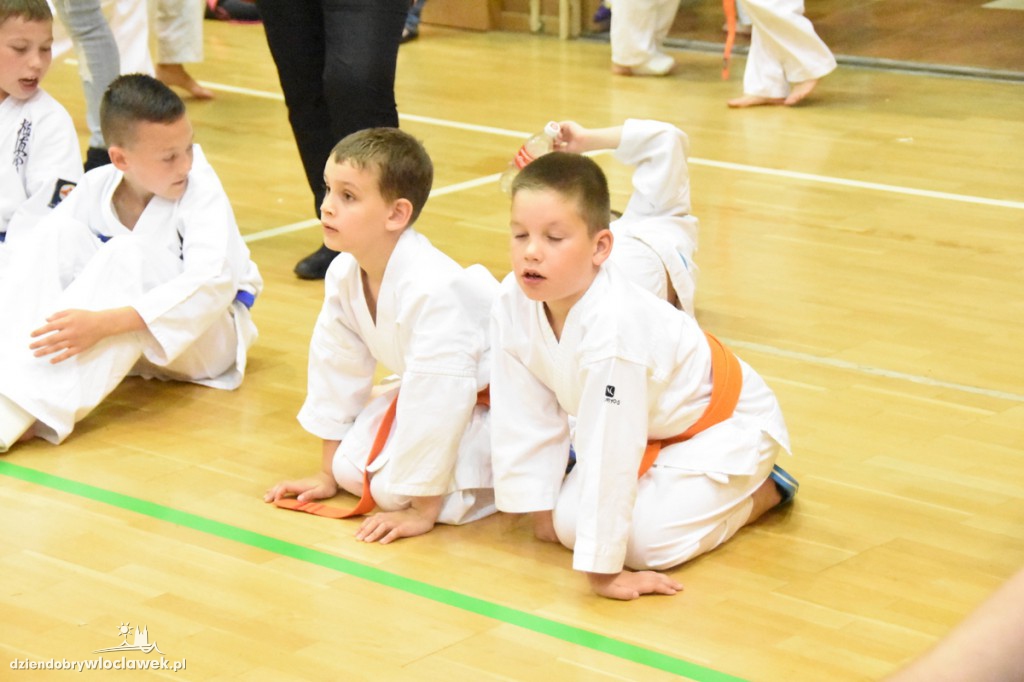 Turniej karate kyokushin w hali OSIR