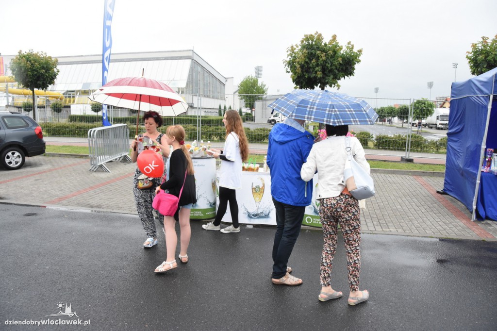 Piknik Lata z Radiem przy Hali Mistrzów