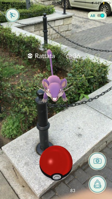 Pokemony we Włocławku. Są wszędzie!