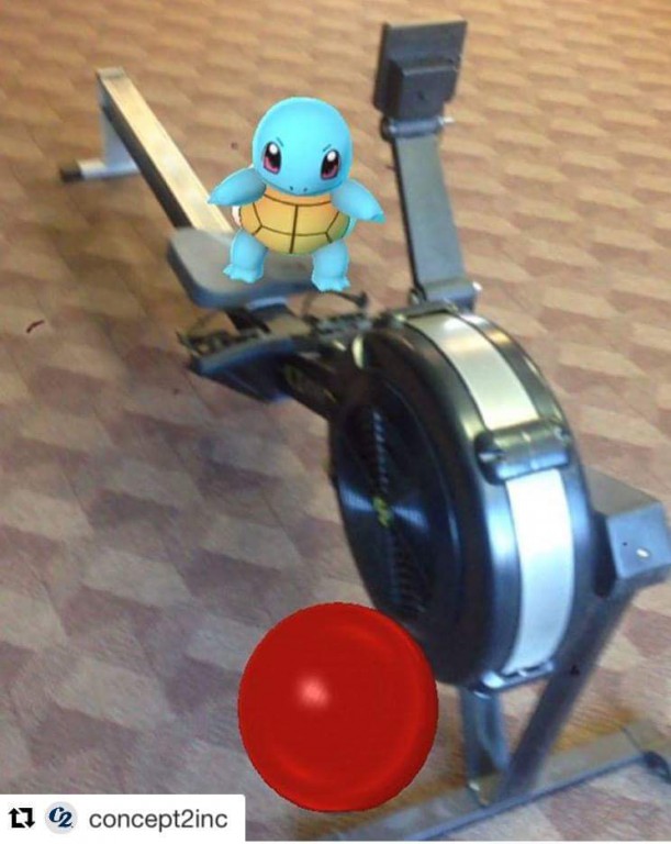 Pokemony we Włocławku. Są wszędzie!