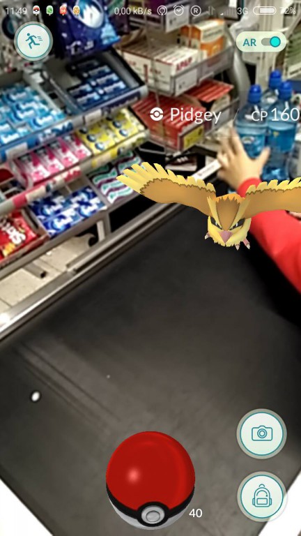 Pokemony we Włocławku. Są wszędzie!