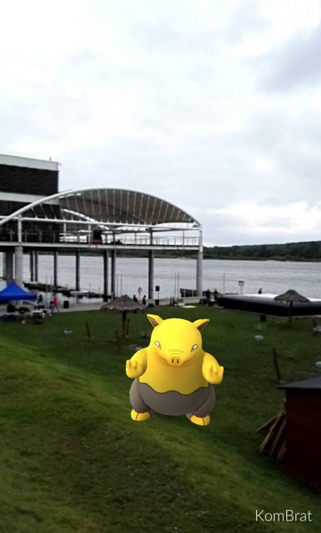 Pokemony we Włocławku. Są wszędzie!