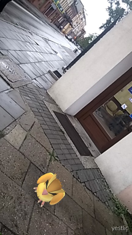 Pokemony we Włocławku. Są wszędzie!