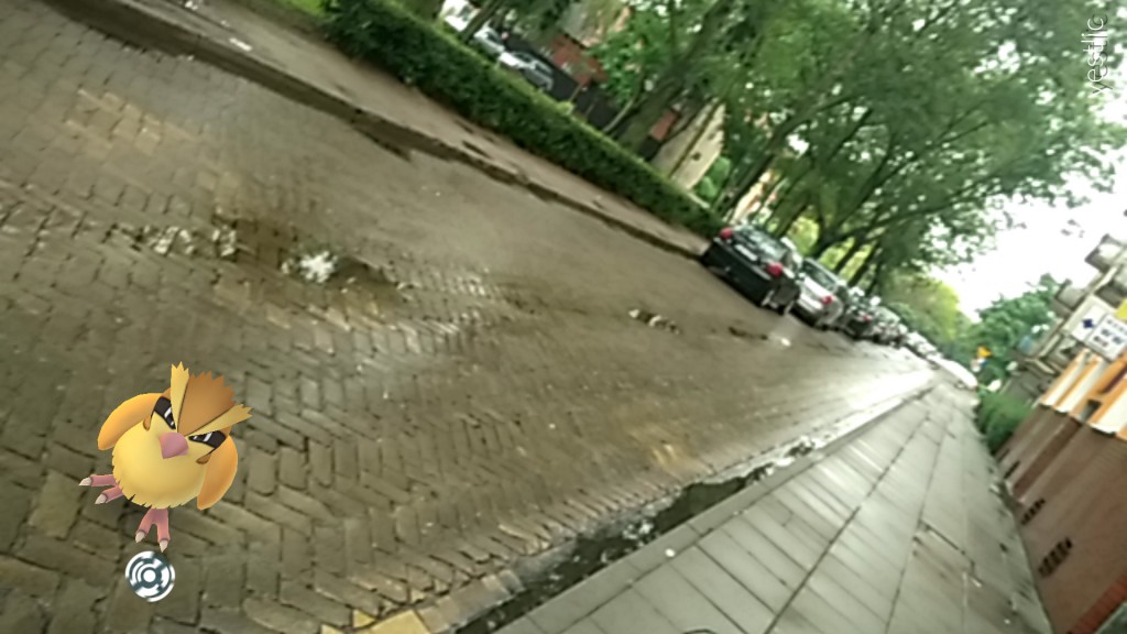 Pokemony we Włocławku. Są wszędzie!