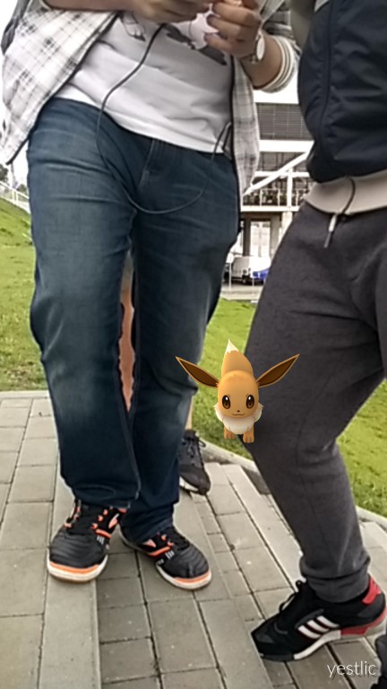 Pokemony we Włocławku. Są wszędzie!