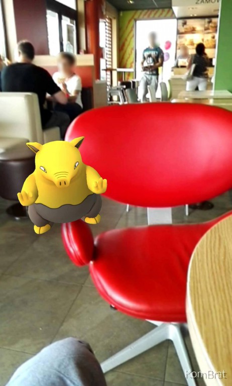 Pokemony we Włocławku. Są wszędzie!