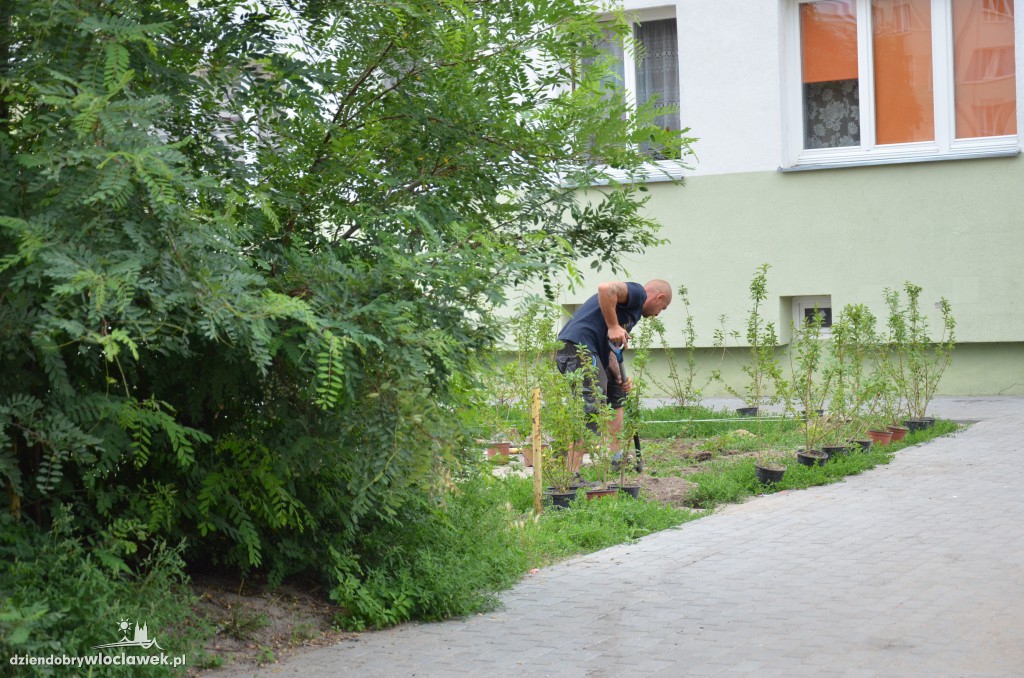 Więcej zieleni na Południu