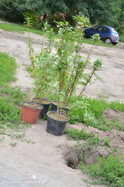 Więcej zieleni na Południu