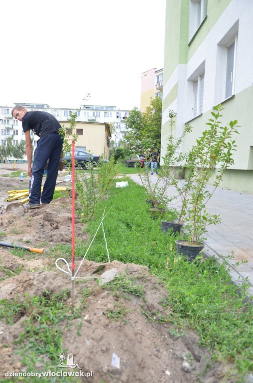 Więcej zieleni na Południu