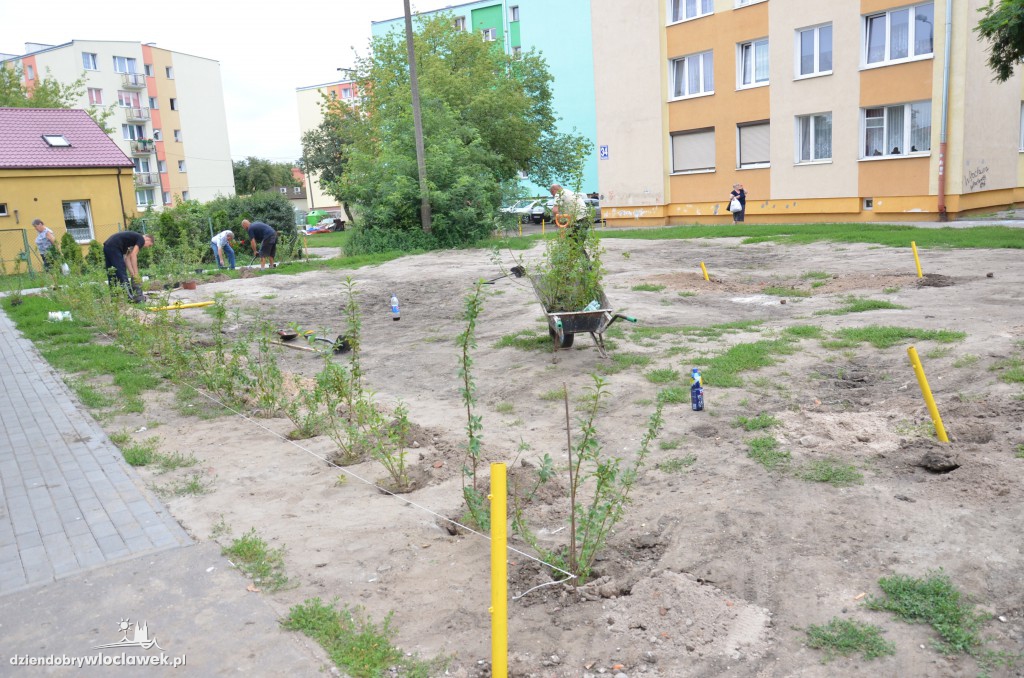 Więcej zieleni na Południu