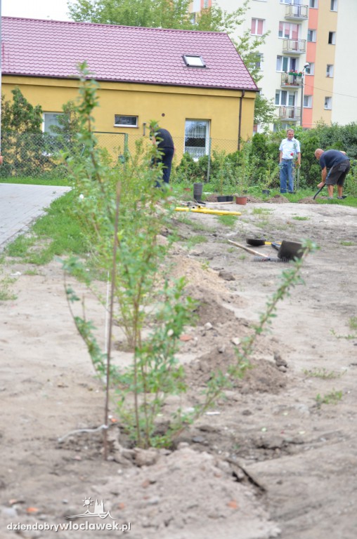 Więcej zieleni na Południu