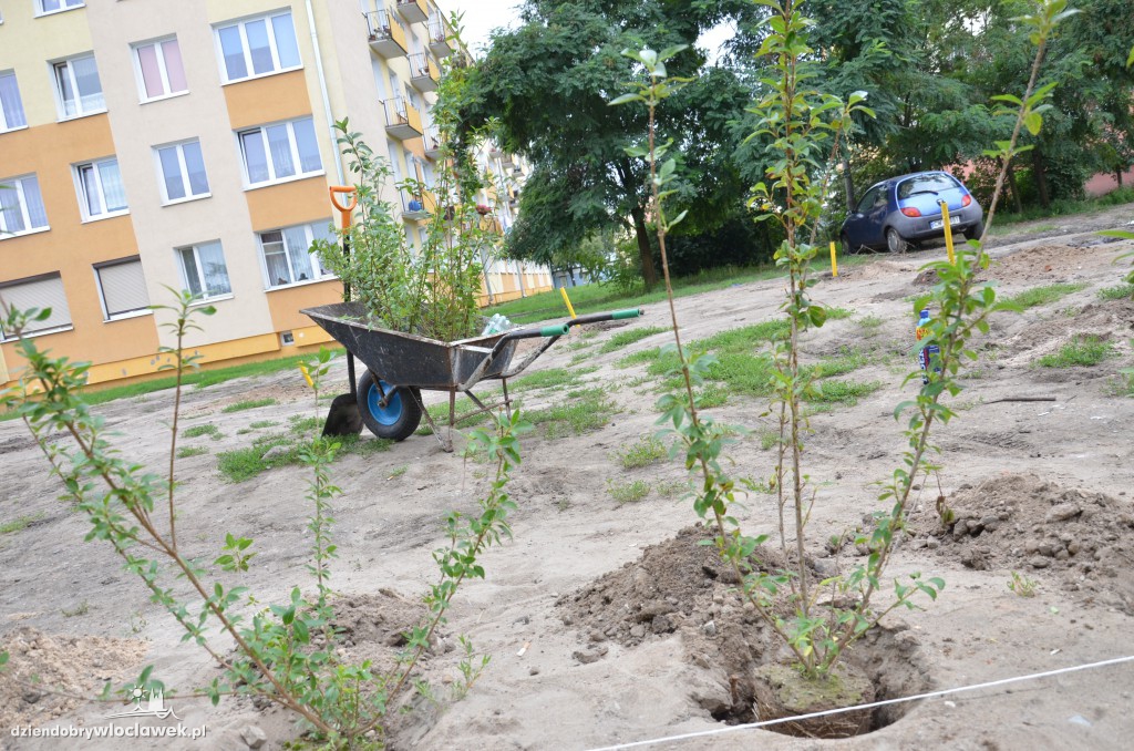 Więcej zieleni na Południu