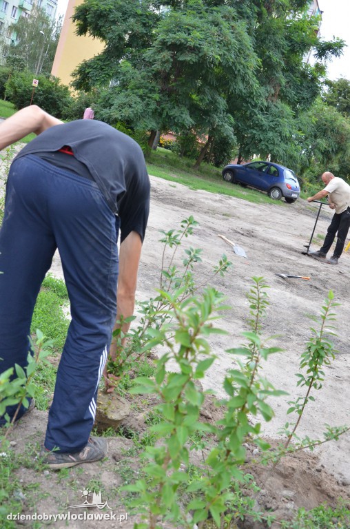 Więcej zieleni na Południu