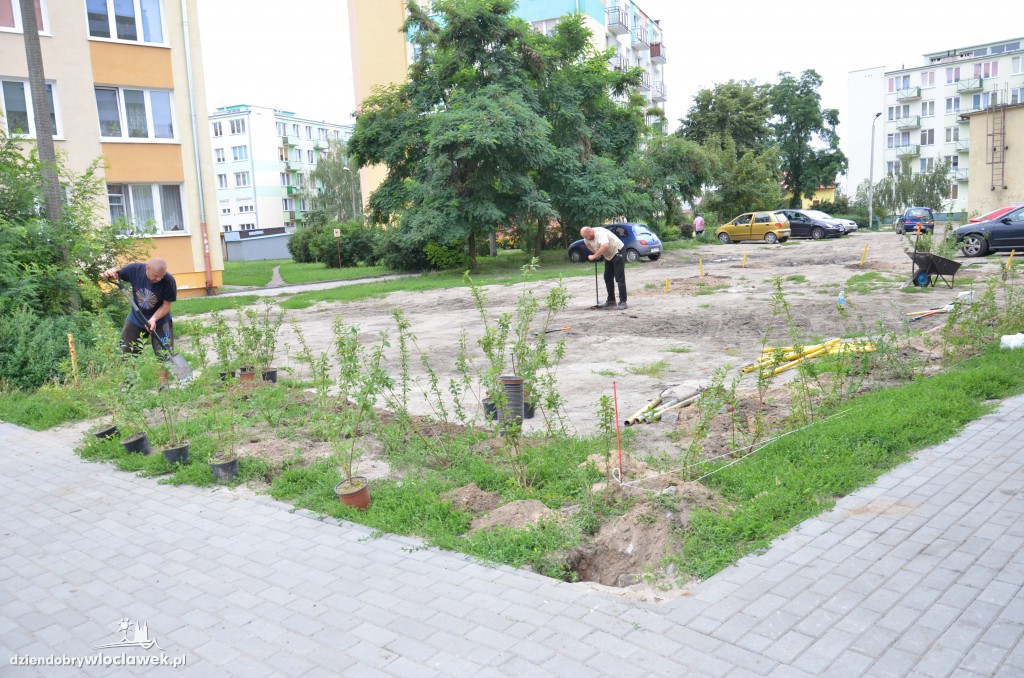 Więcej zieleni na Południu