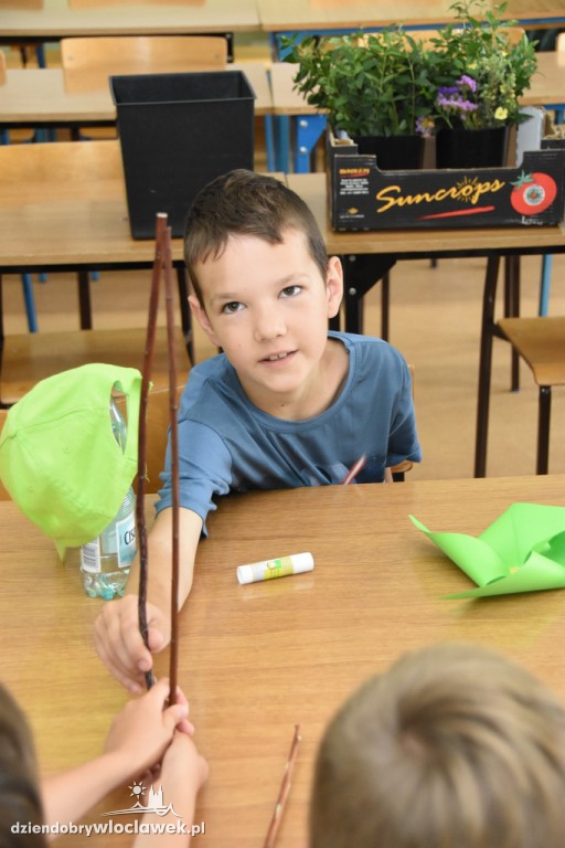 Warsztaty: Letnia łąka pełna kwiatów