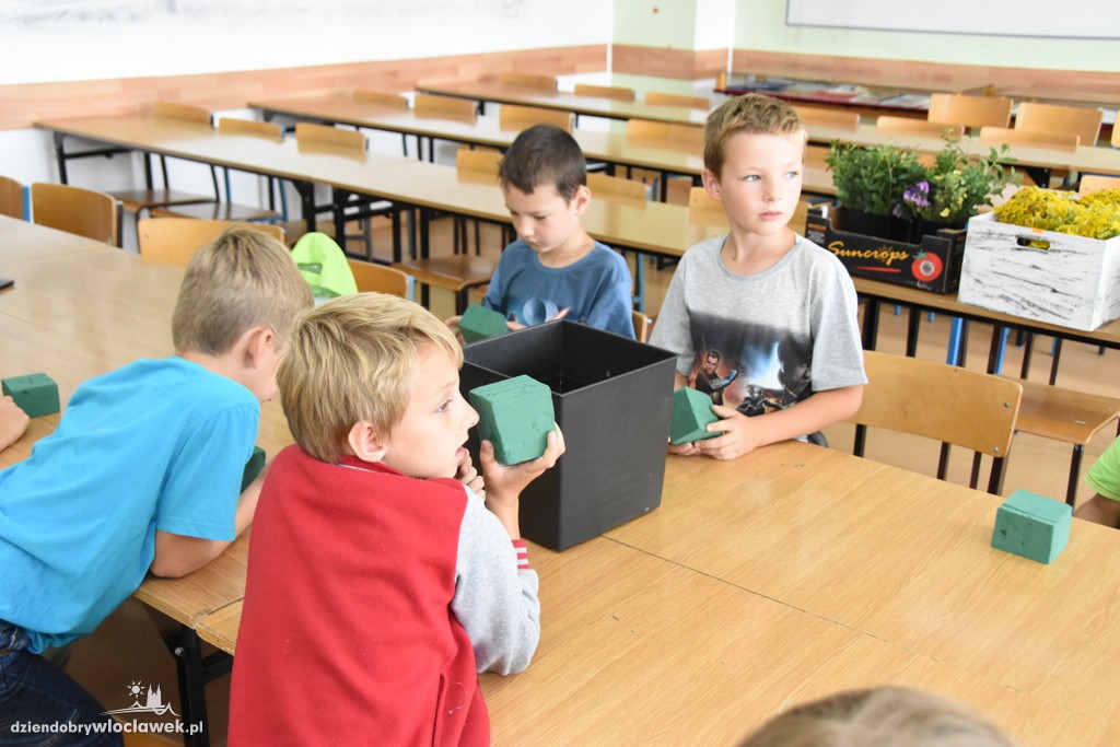 Warsztaty: Letnia łąka pełna kwiatów