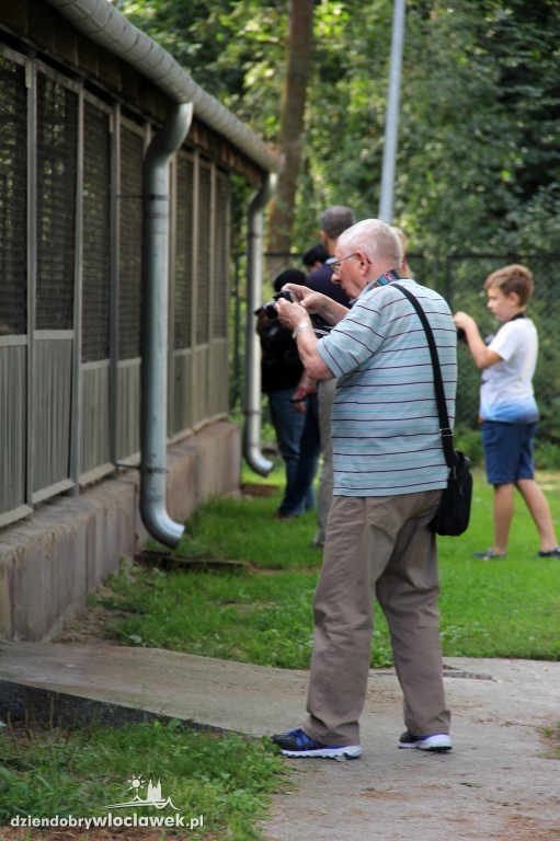 Foto piątek w Schronisku