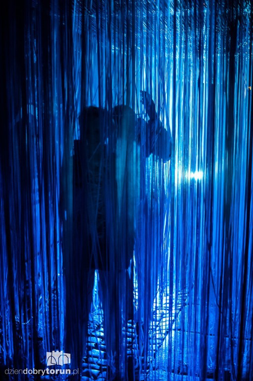 Bella Skyway Festival w Toruniu