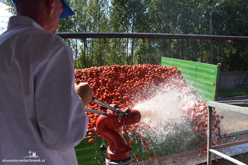 Produkcja w Polskich Przetworach