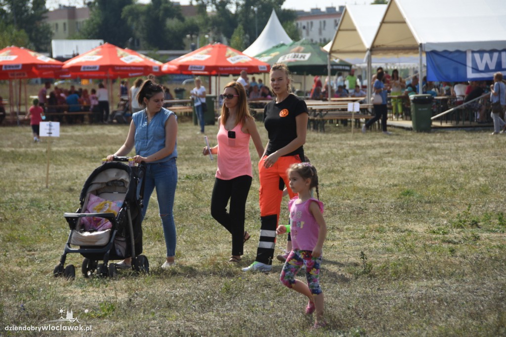 Piknik z okazji 100-lecia Wika Polska