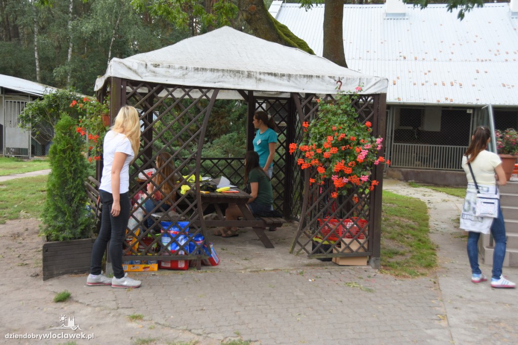 Bieg na sześć łap w schronisku