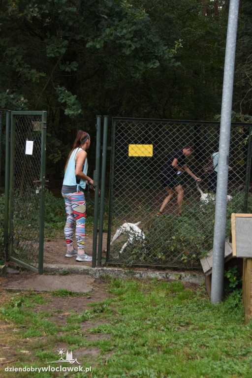 Bieg na sześć łap w schronisku