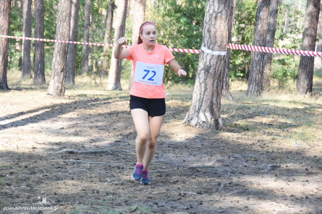 Vladislavia Cross przy jeziorze