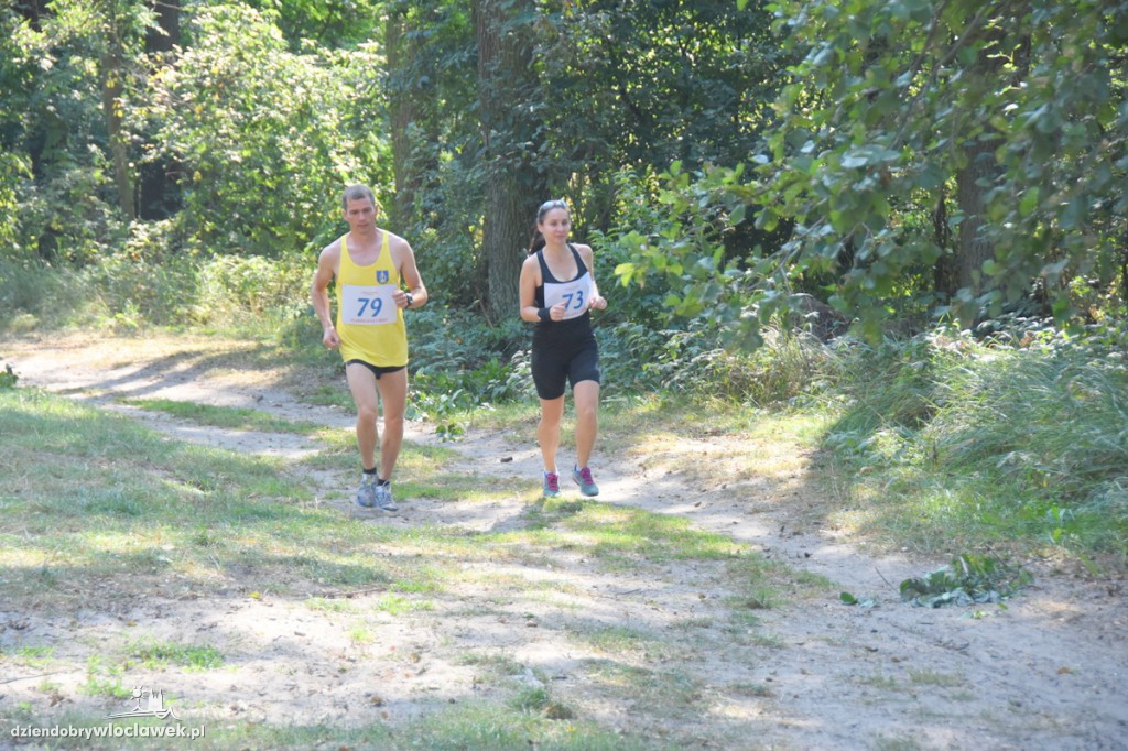 Vladislavia Cross przy jeziorze