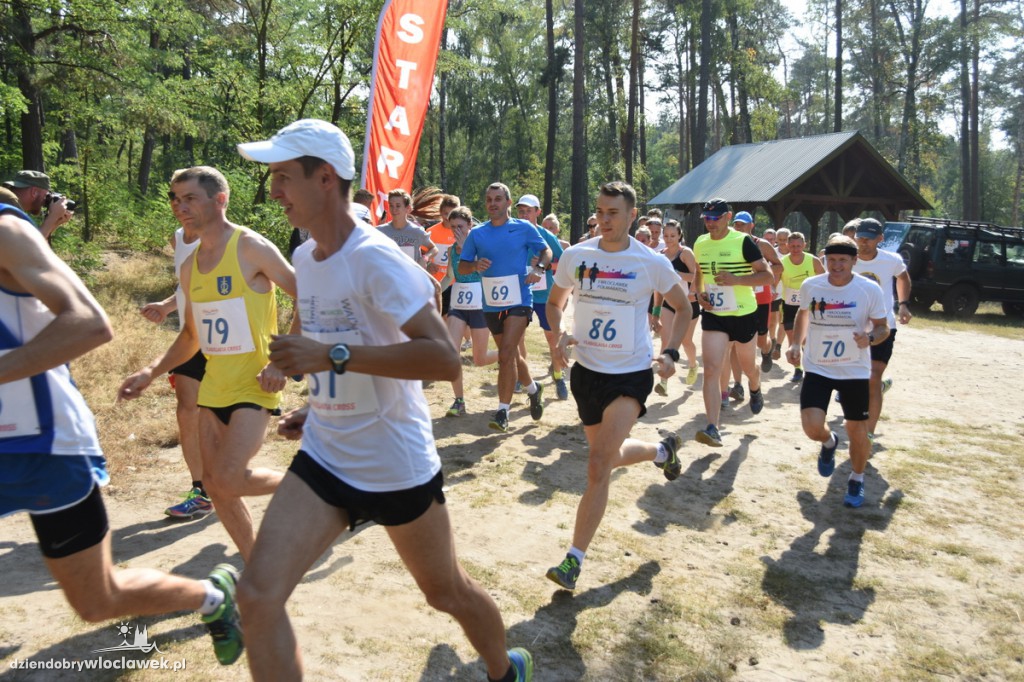 Vladislavia Cross przy jeziorze