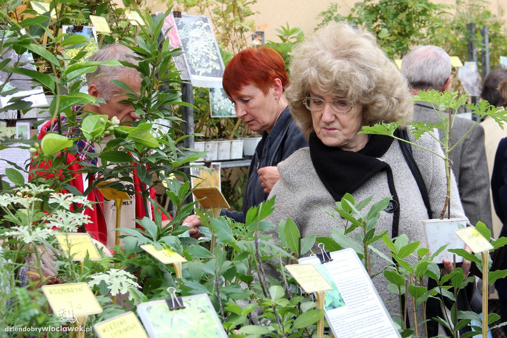 III Włocławski Targ z Darami Lata