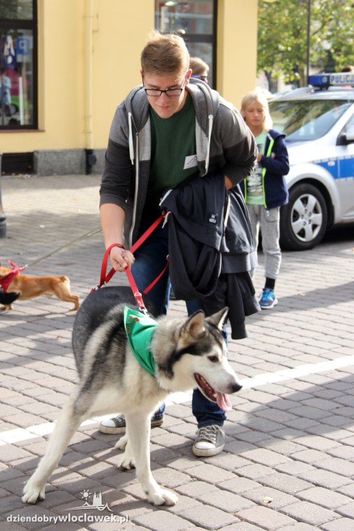 Światowy Dzień Zwierząt
