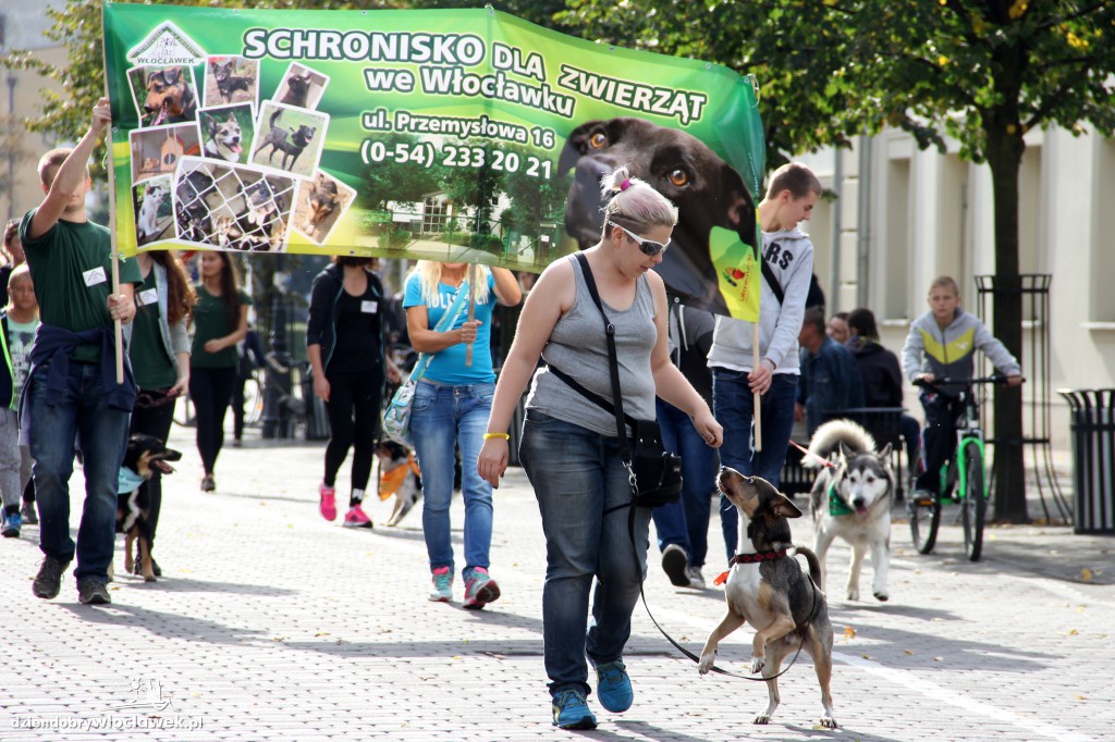 Światowy Dzień Zwierząt