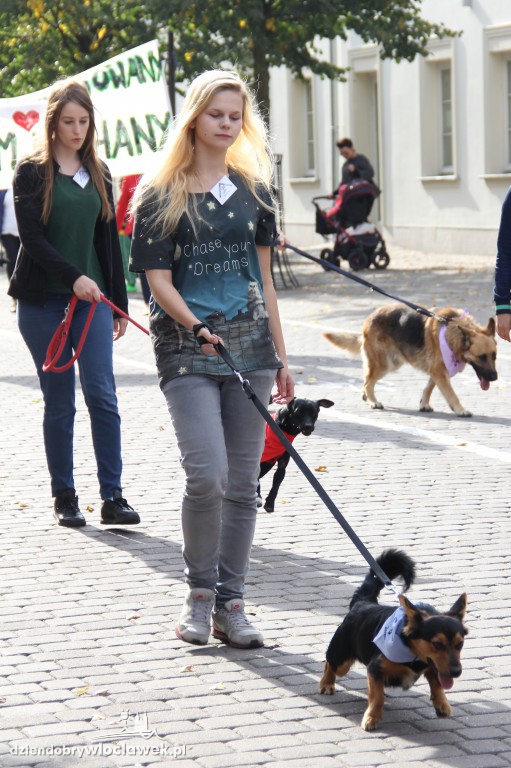 Światowy Dzień Zwierząt