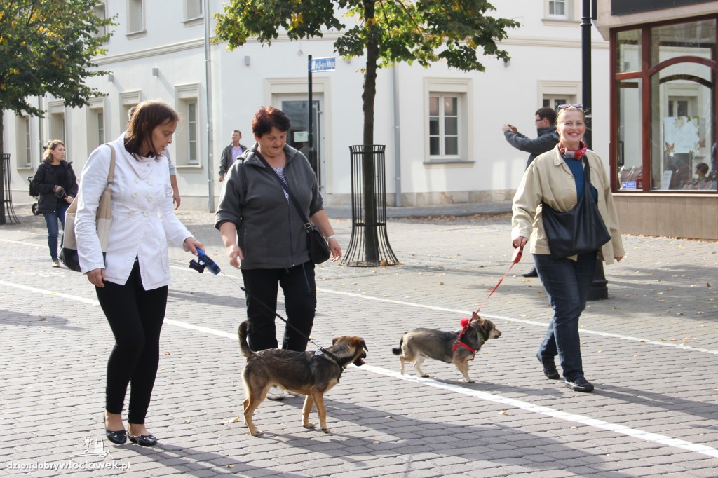 Światowy Dzień Zwierząt