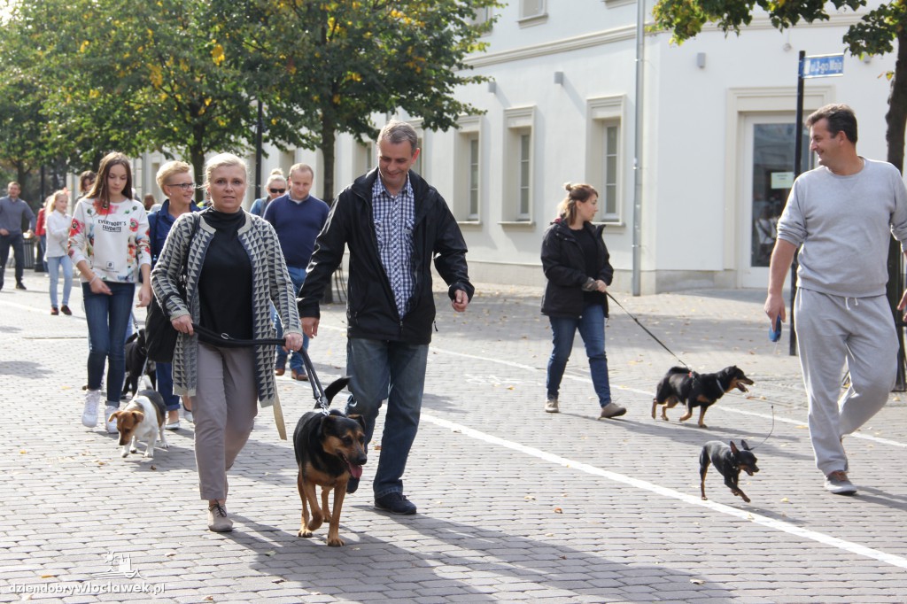 Światowy Dzień Zwierząt