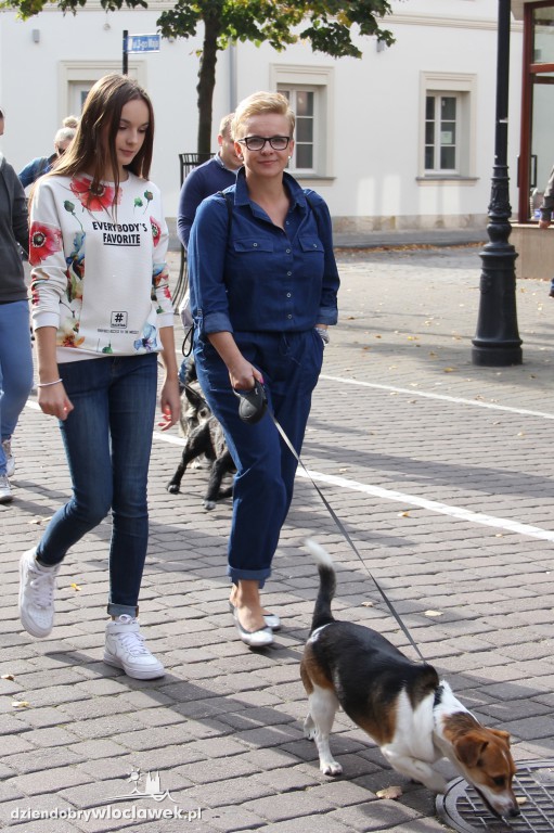 Światowy Dzień Zwierząt