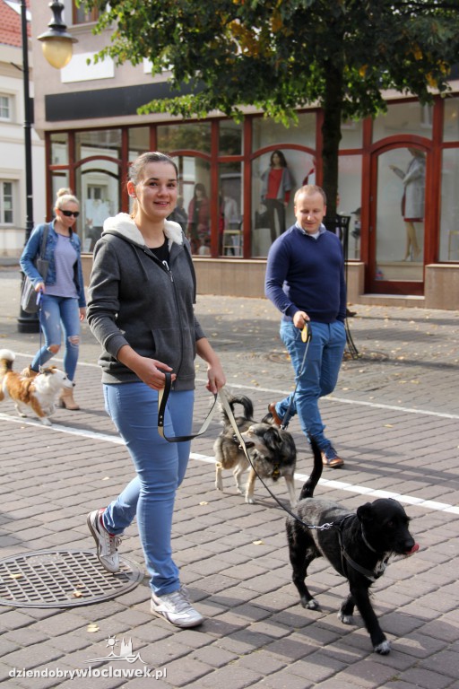Światowy Dzień Zwierząt